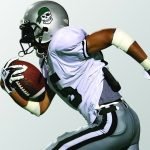 Helmet Stickers