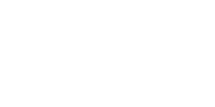 fast shipping